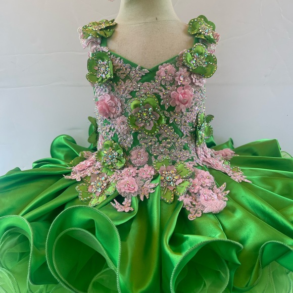 Beautiful stunning girls birthday princess flower girl flora tinker bell  dress.